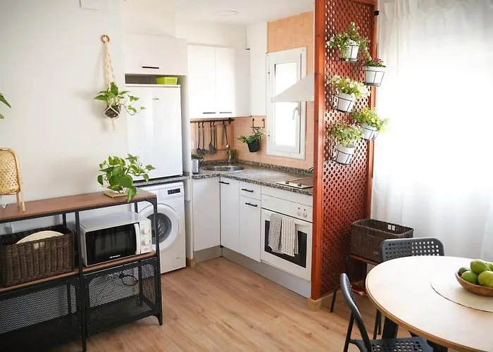 Apartamento Casco Antiguo