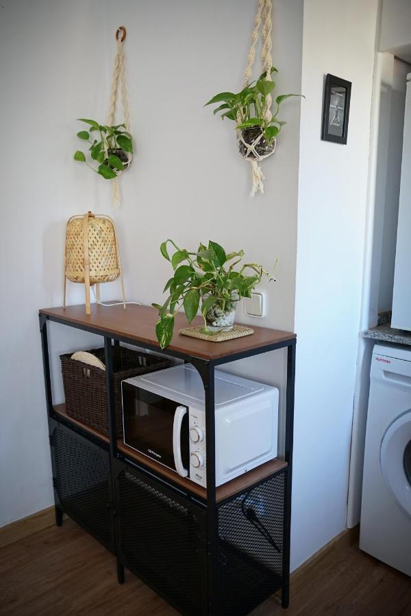 Apartamento Casco Antiguo